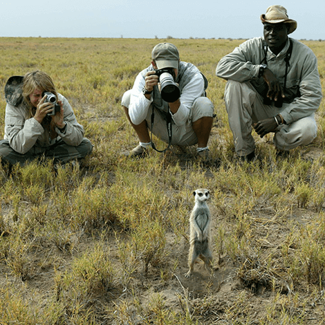 Photographing wildlife