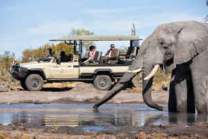 safari vehicle and elephant 