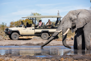 safari vehicle and elephant 2 