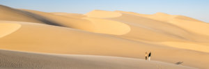 Namibia dunes at sunset 