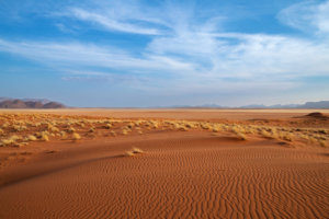 Kwessi Dunes Landscapes