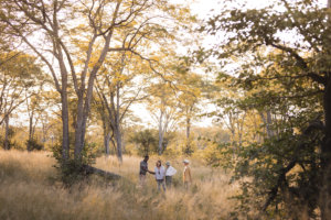 khwai private reserve walking safari 