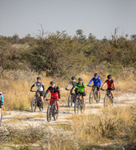 cycle the okavango 