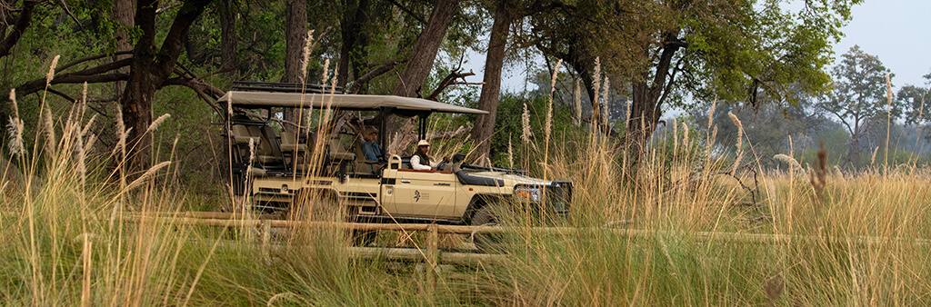 wilderness safaris botswana camps
