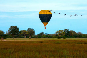 north island okavango hot air ballooning 