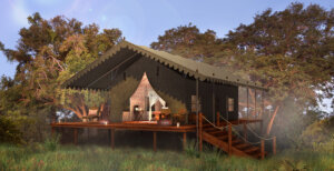 Dukes Camp Okavango Guest Tent